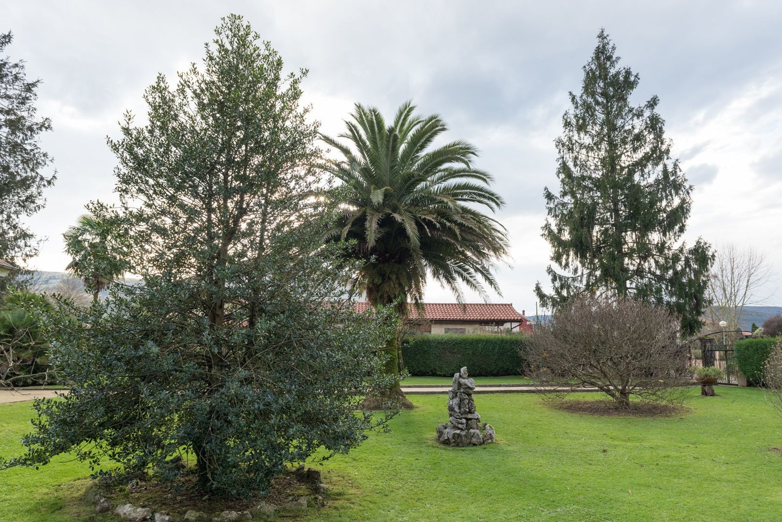 Jardín con palmera canaria