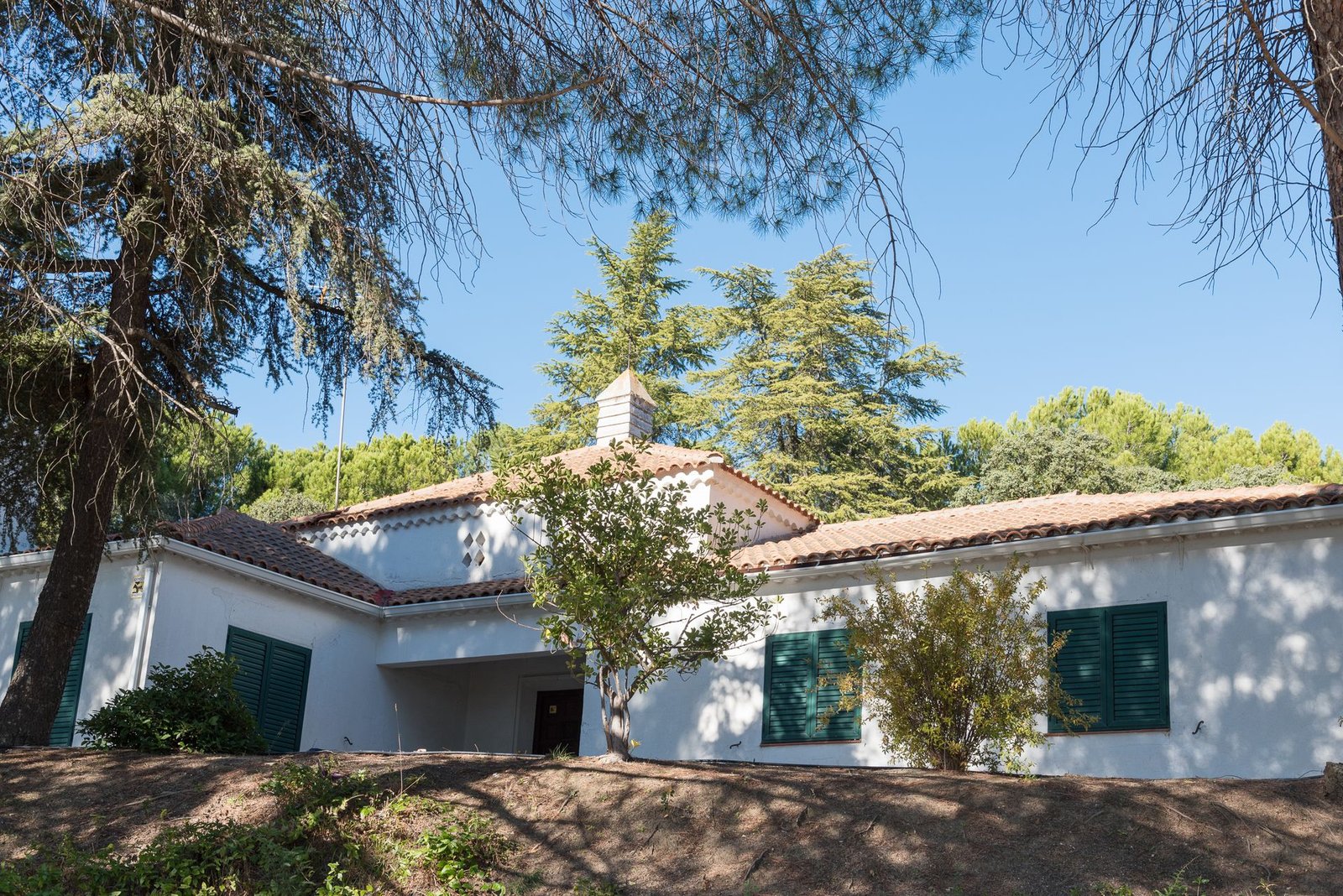 La casa entre pinos y cedros